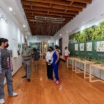La Casa de la Tierra: el Museo de los Metales en Torreón