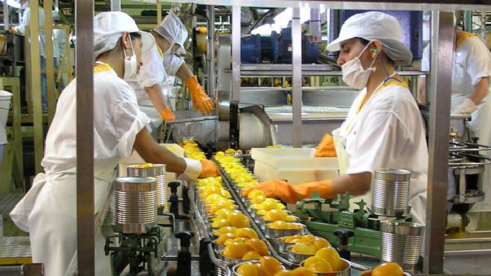 Industria alimentaria impulsa con 10% la economía de Jalisco